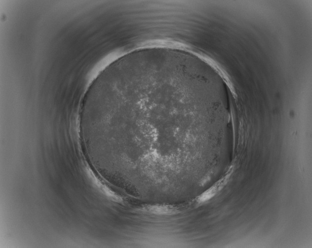 X0000087640998200705031506