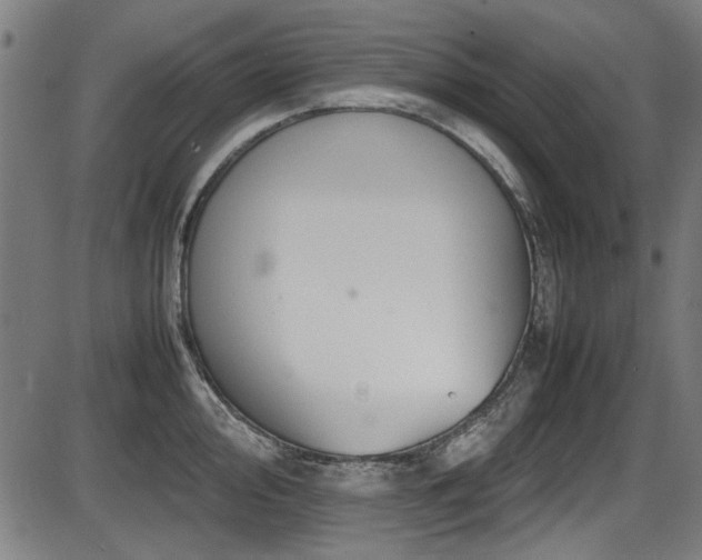 X0000087641000200705031506