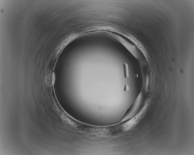 X0000087641001200705031506