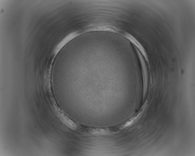 X0000087641002200705031506