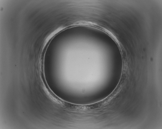 X0000087641003200705031506