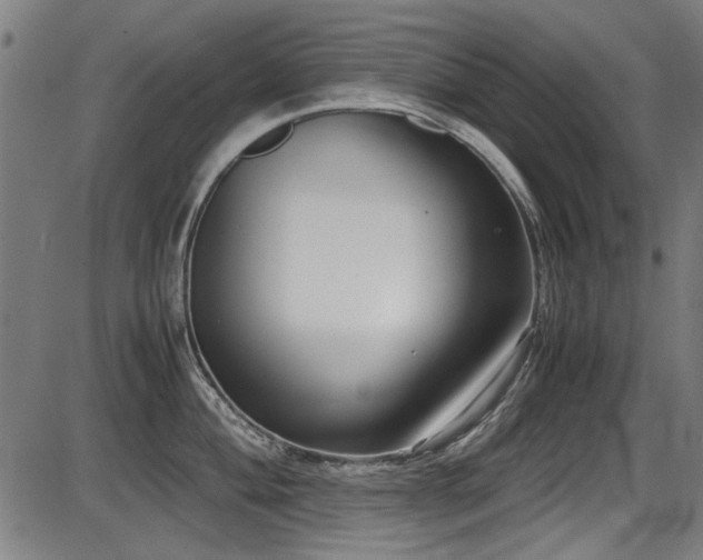 X0000087641004200705031506