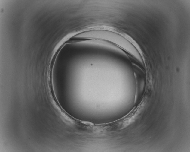 X0000087641005200705031506