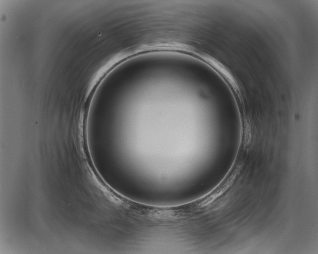 X0000087641006200705031506