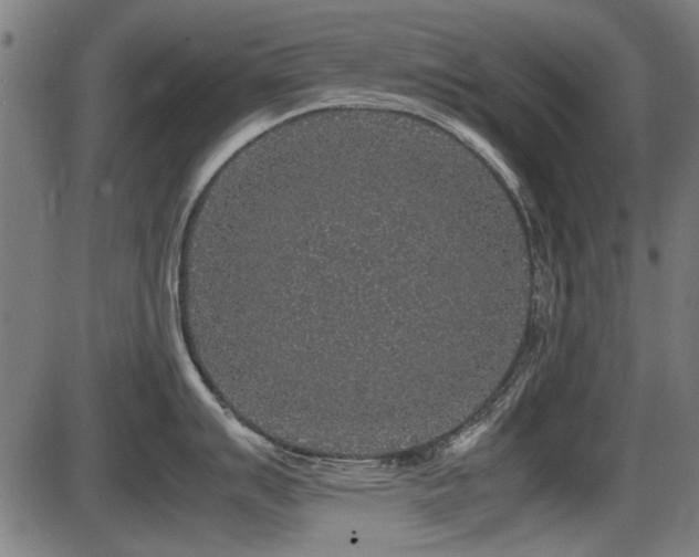 X0000087641007200705031506