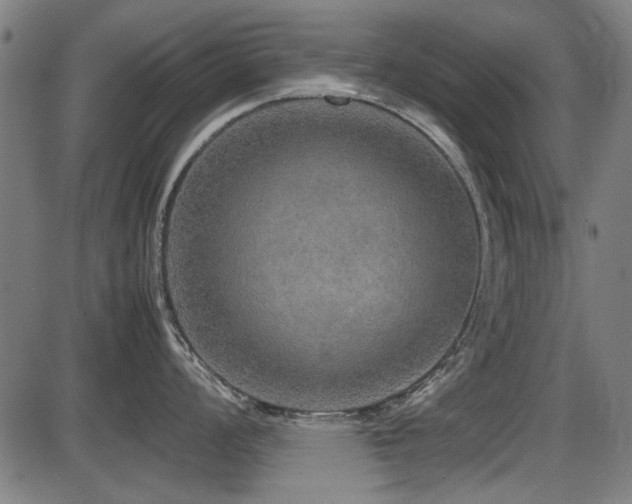 X0000087641008200705031505