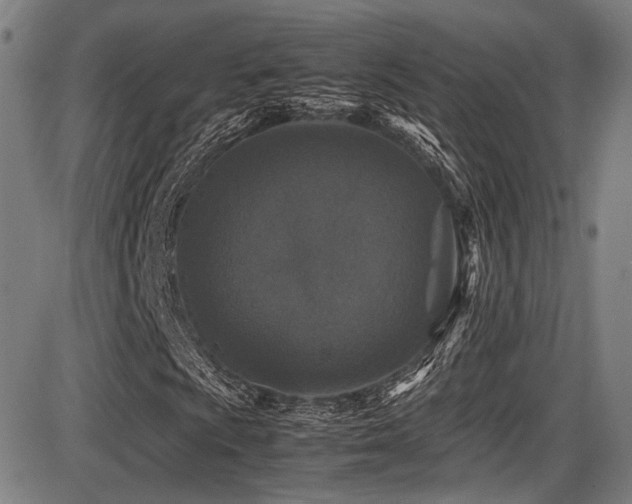 X0000087641009200705031505