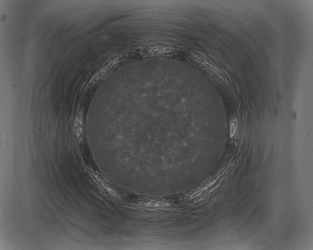 X0000087641011200705031505