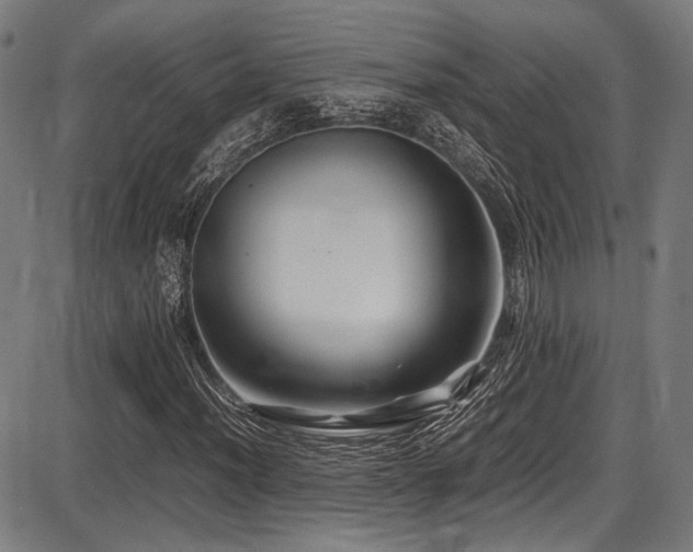 X0000087641012200705031505