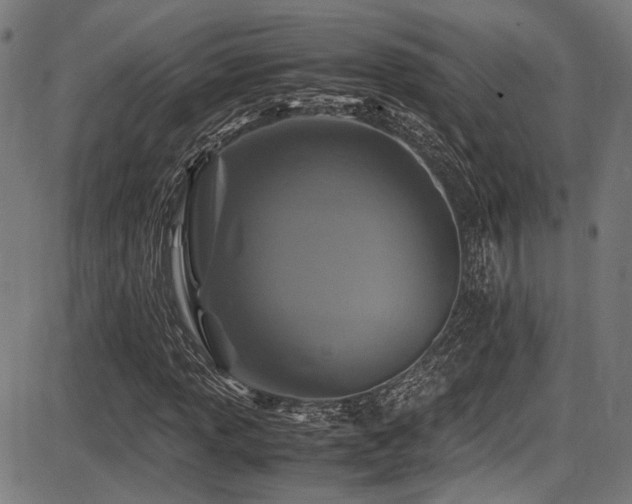 X0000087641013200705031505