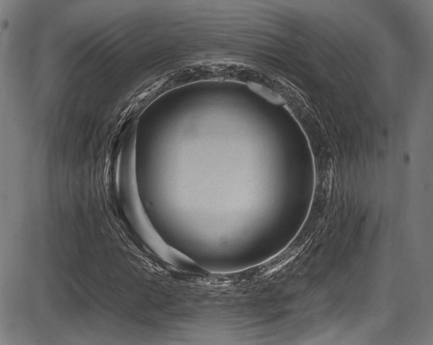 X0000087641014200705031505