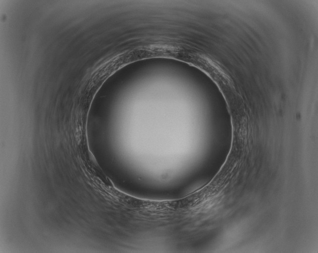 X0000087641015200705031505