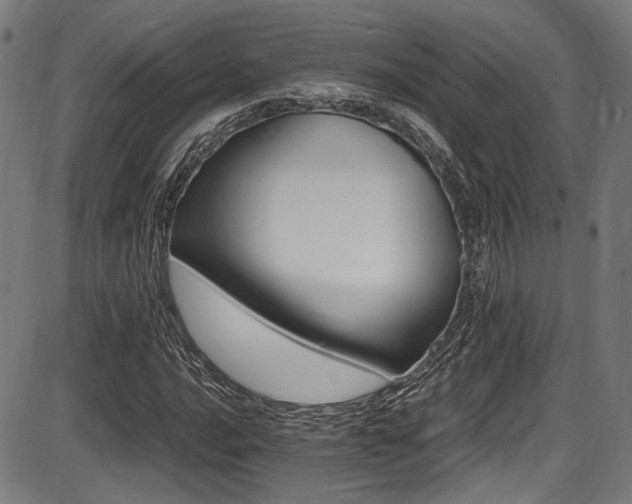 X0000087641016200705031505