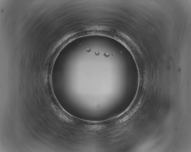 X0000087641017200705031505