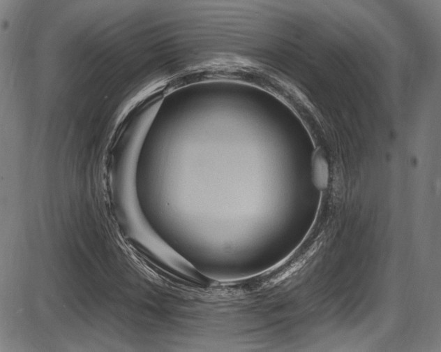 X0000087641018200705031505