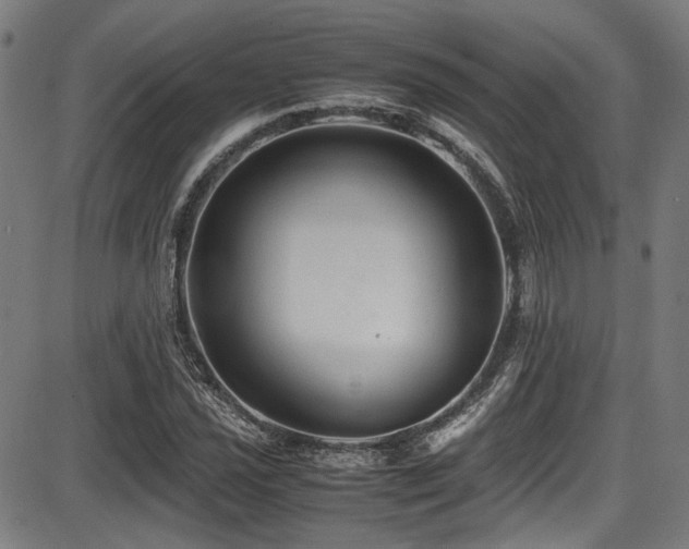 X0000087641021200705031505