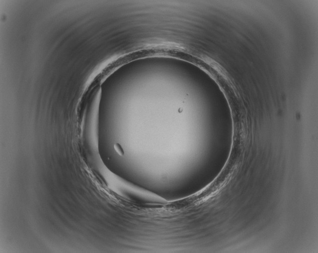 X0000087641022200705031505