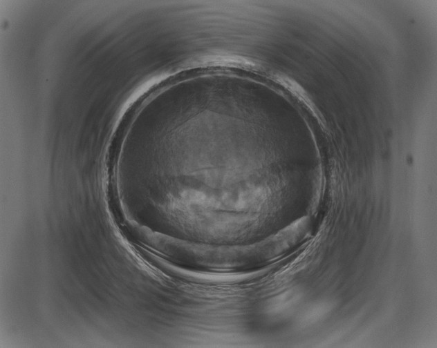 X0000087641024200705031505