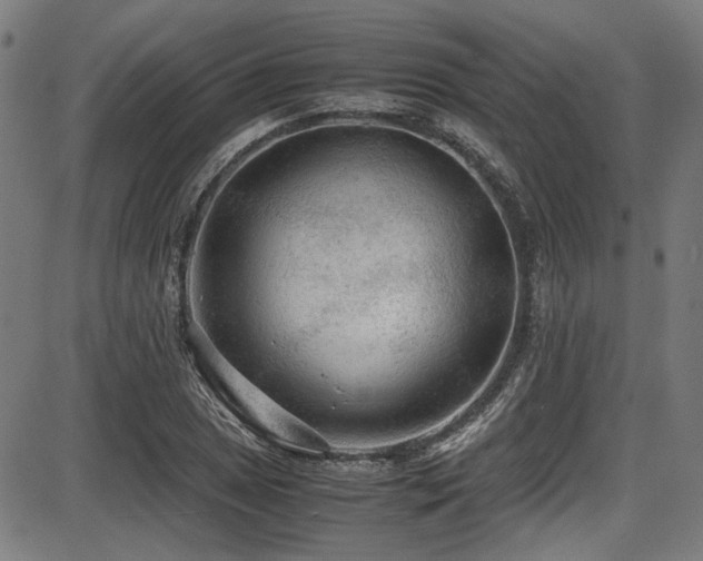 X0000087641025200705031505