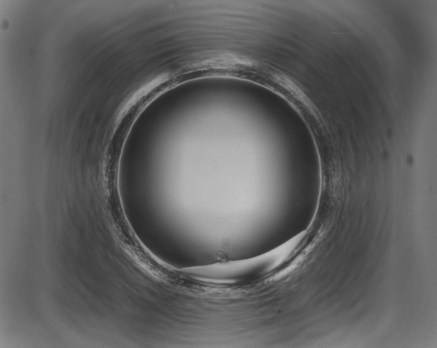 X0000087641026200705031505