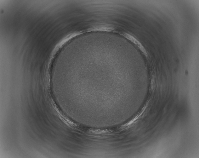 X0000087641027200705031505