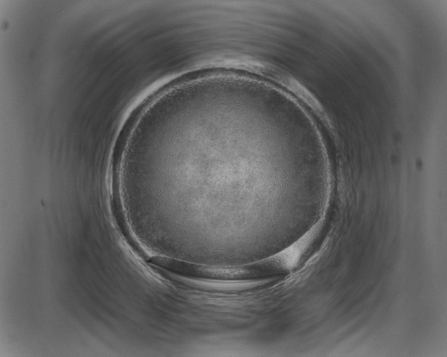 X0000087641028200705031505