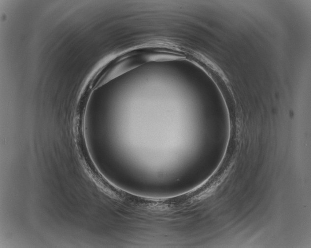 X0000087641029200705031505