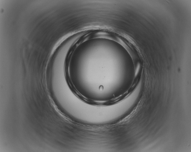 X0000087641030200705031505