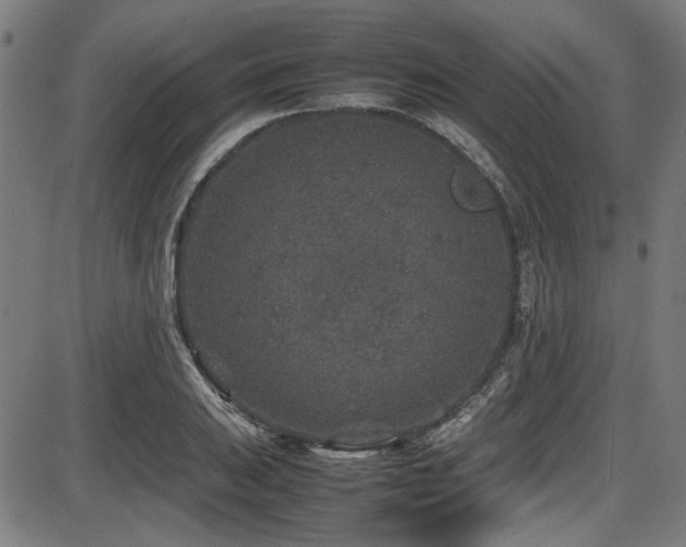 X0000087641031200705031505