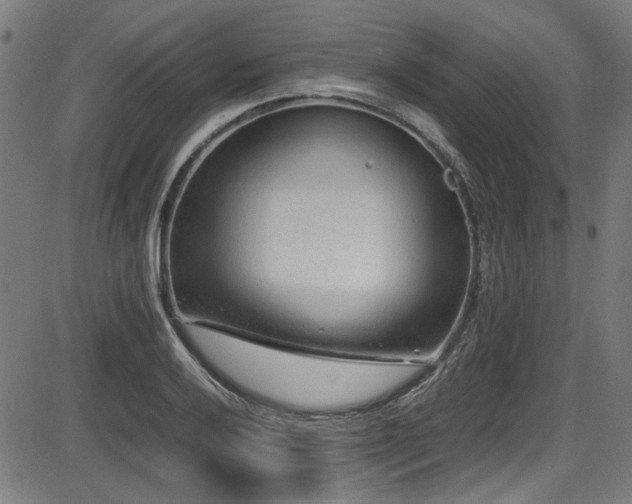 X0000087641032200705031505