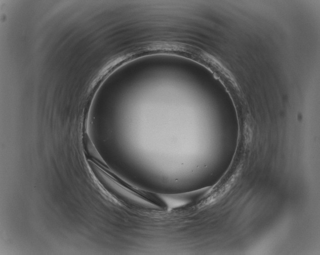 X0000087641033200705031505