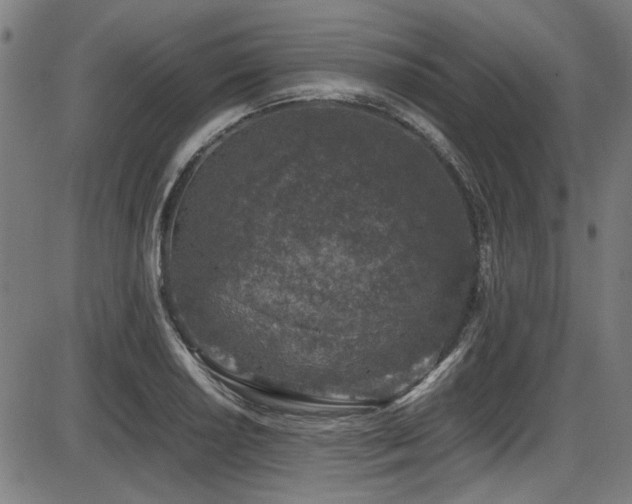 X0000087641034200705031505