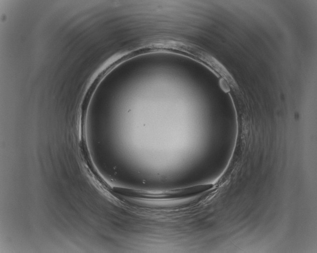 X0000087641036200705031505