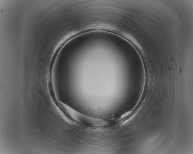 X0000087641040200705031505