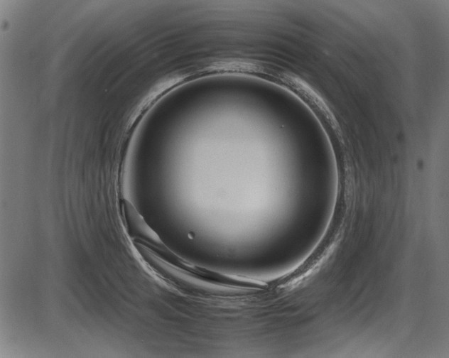 X0000087641041200705031505