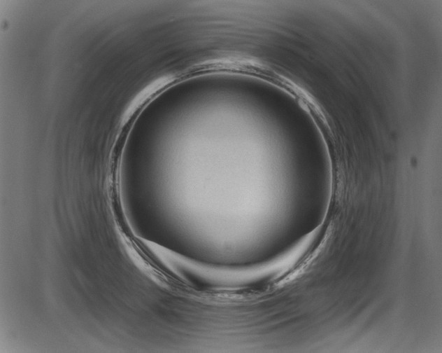 X0000087641042200705031505