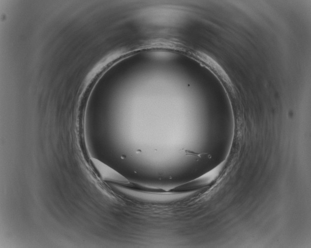 X0000087641043200705031505