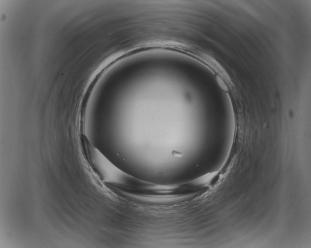 X0000087641044200705031505