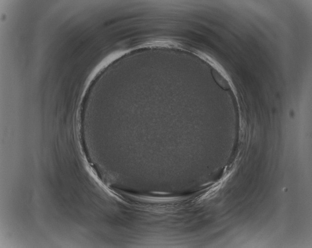 X0000087641045200705031505