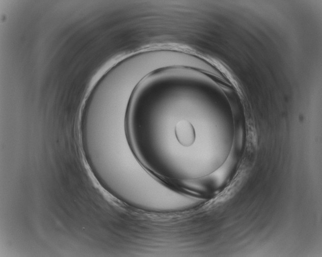 X0000087641046200705031505