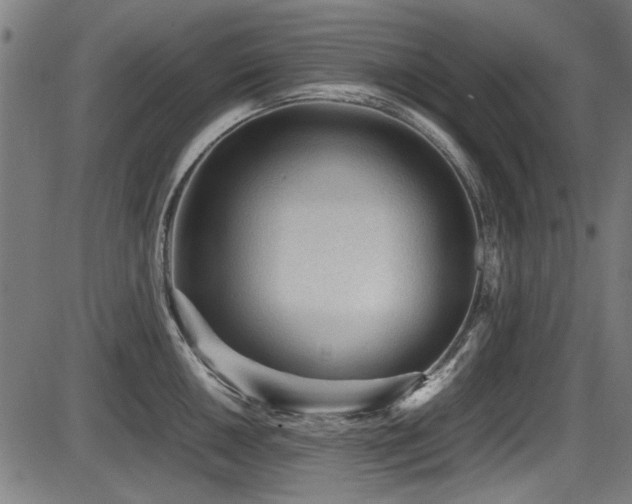 X0000087641050200705031505