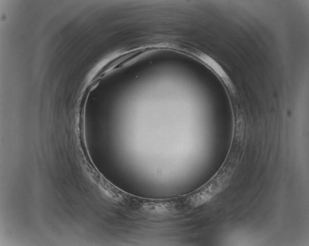 X0000087641051200705031505