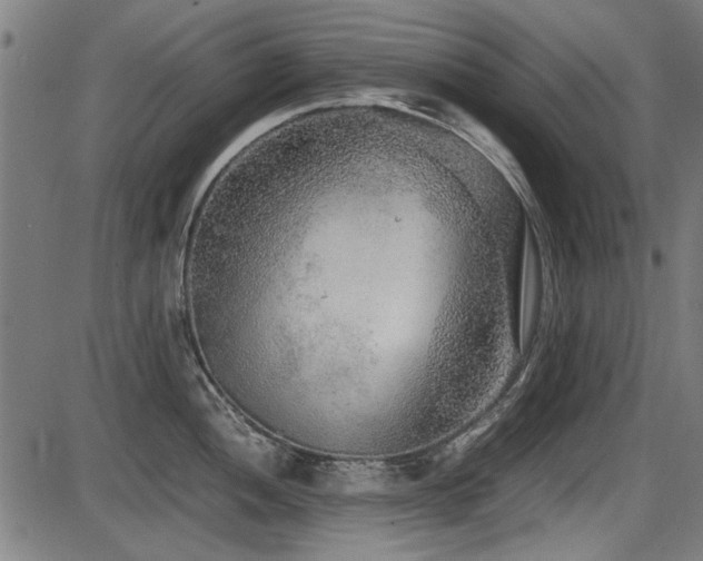 X0000087641052200705031505