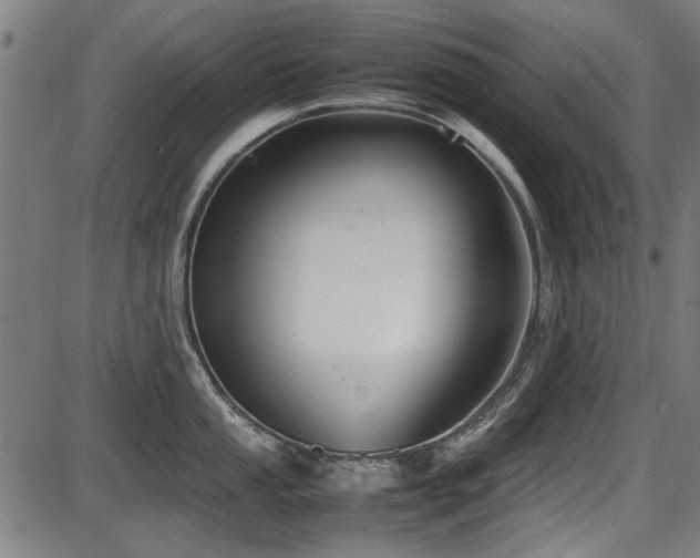 X0000087641053200705031505