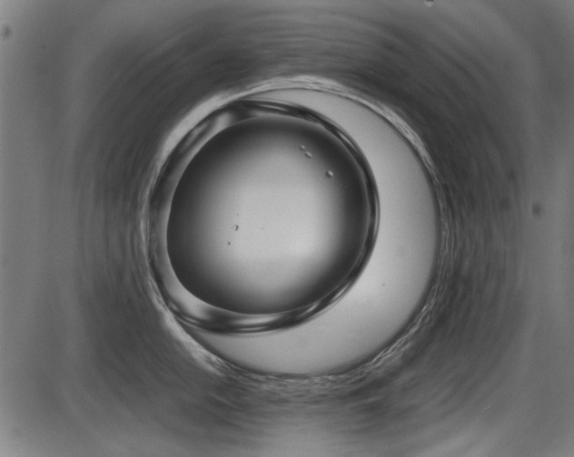 X0000087641054200705031505