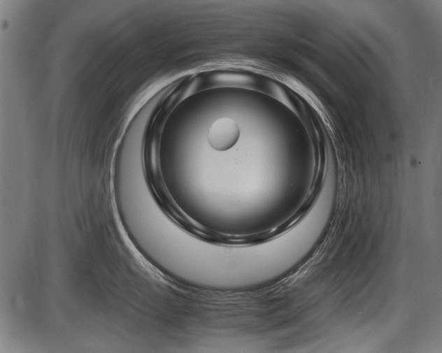 X0000087641055200705031505