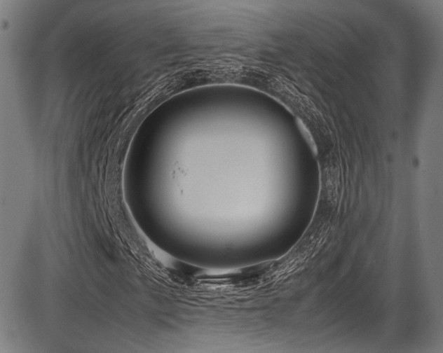 X0000087641057200705031505