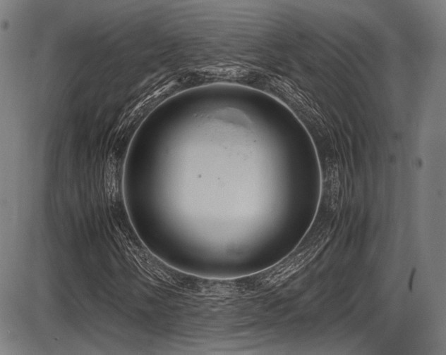 X0000087641058200705031505