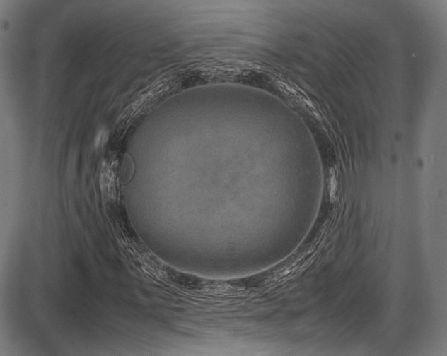 X0000087641059200705031505