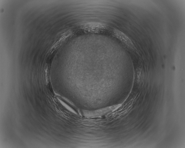 X0000087641060200705031505